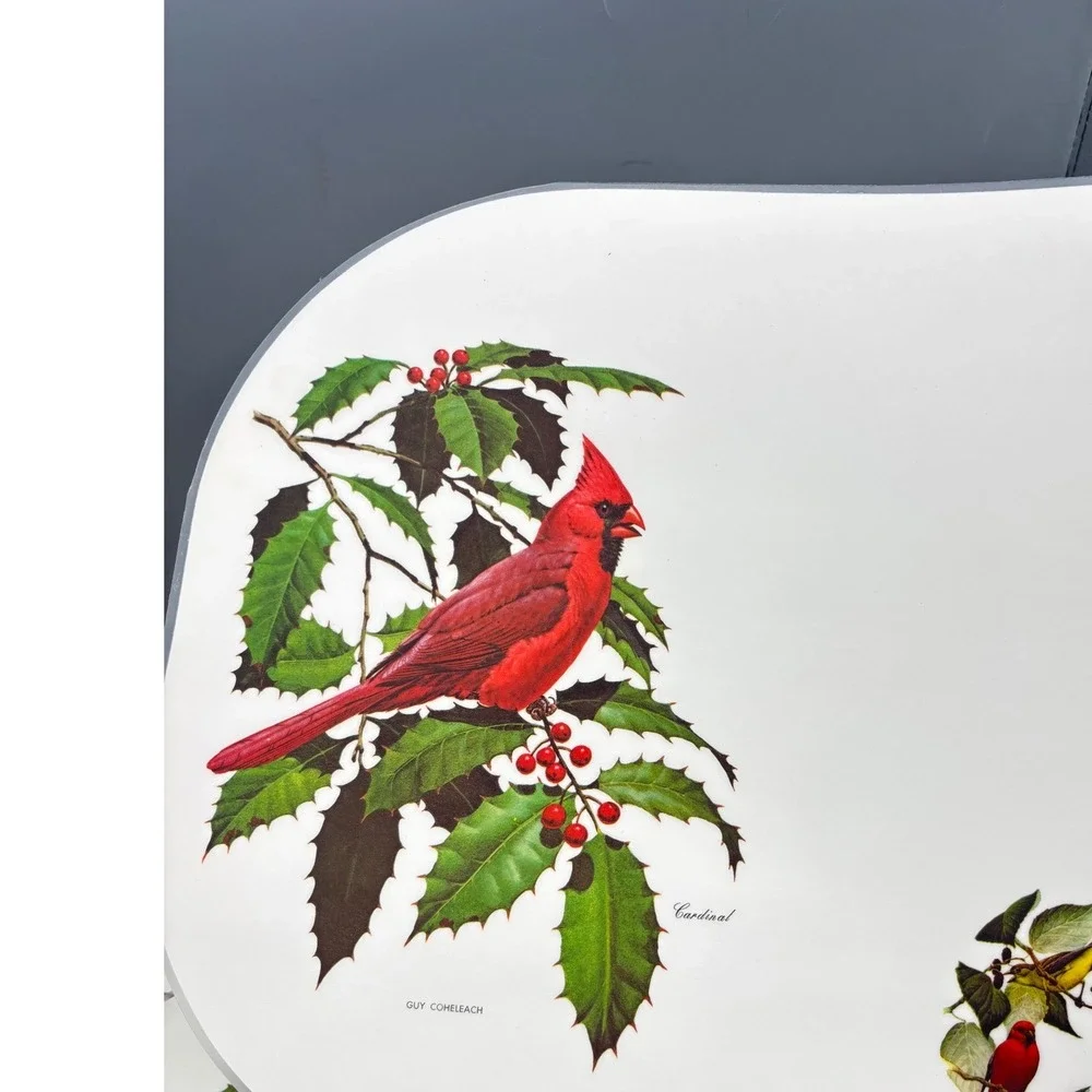 8 Pc Vtg‎ Guy Coheleach Bird Cardinal Holly Placemats Vinyl Oval